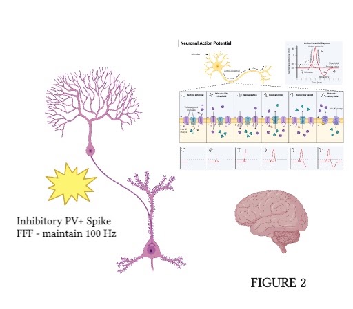 Neurospike FRO supporting figure